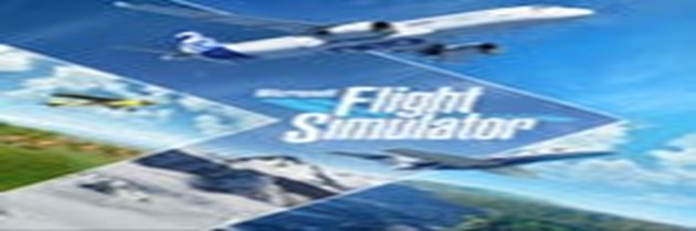 Flight simulator game