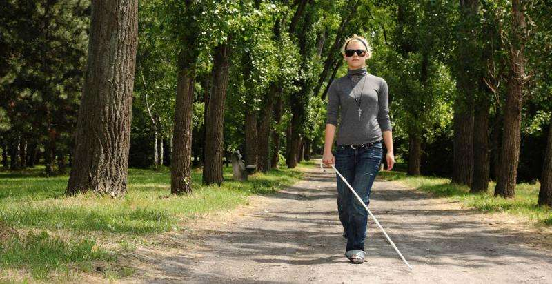 Wearable sensor devices helps visually impaired to sense their envirnoment